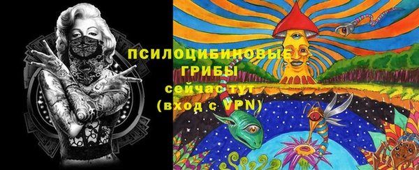 PSILOCYBIN Алапаевск