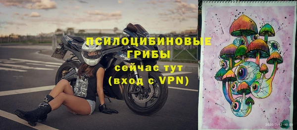 прущий лед Алексин
